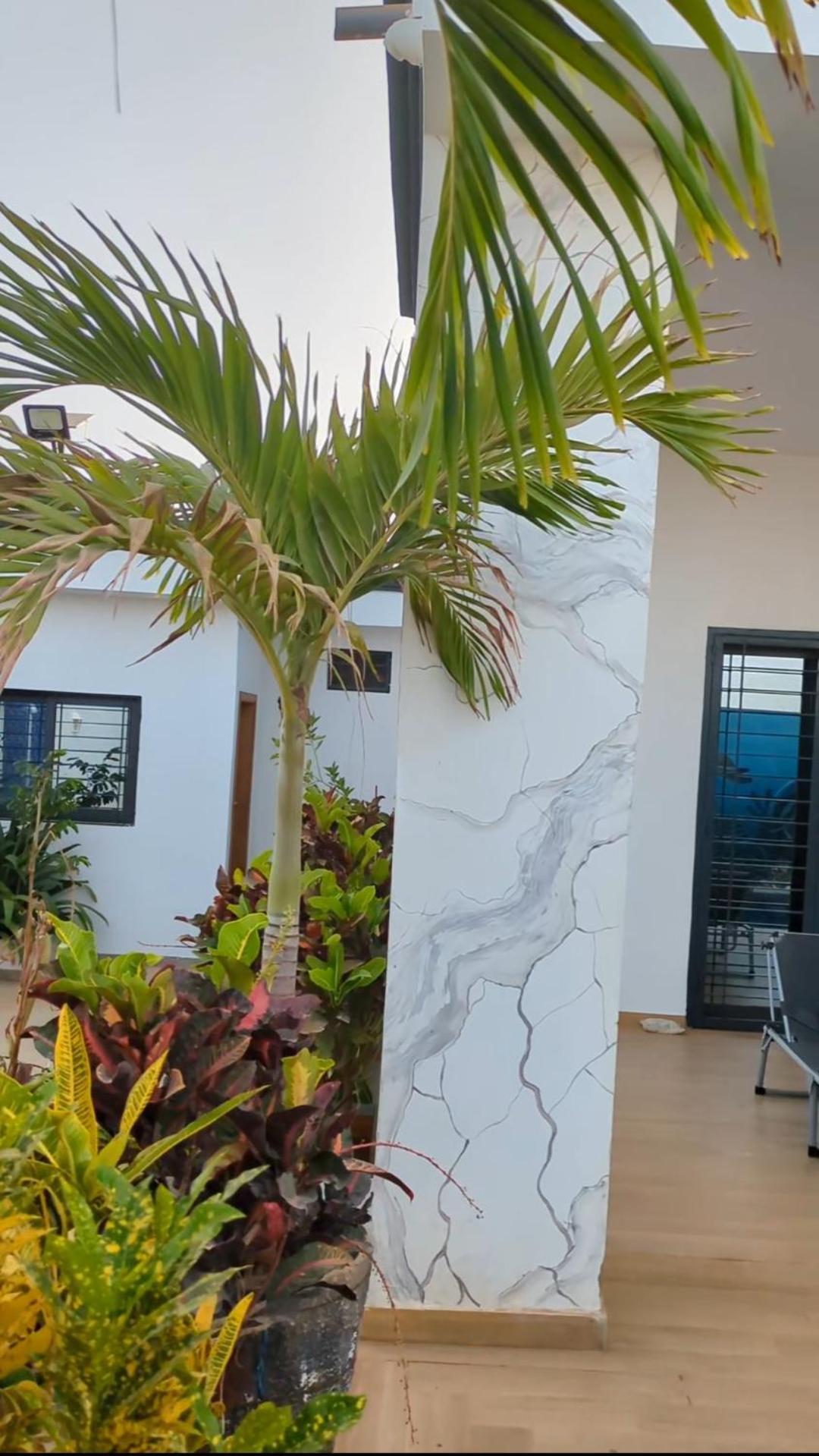 Villa Hawa, Decor Unique & Piscine La Somone Extérieur photo